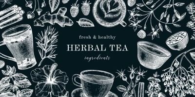 Hand drawn tea drinks ingredients banner in color. Vector sketches of hot beverage cups, herbs, flowers, fruits vintage background. Herbal tea design for cafe or restaurant menu, banners, web.